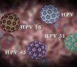 Virus sùi mào gà HPV